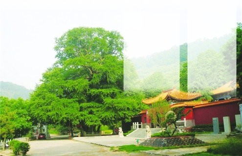 在安丘市石埠子镇孟家旺村,公冶长书院风景优美,是研学好去处(本版图片均为资料图)